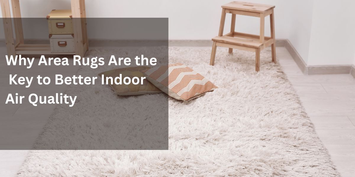 Why Area Rugs Are the Key to Better Indoor Air Quality