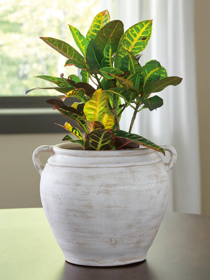 Meadie Terracotta Small Vase - Distressed White